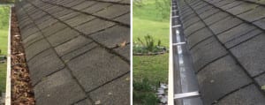 Gutter Cleaning