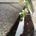 Gutter Cleaning Easton MD